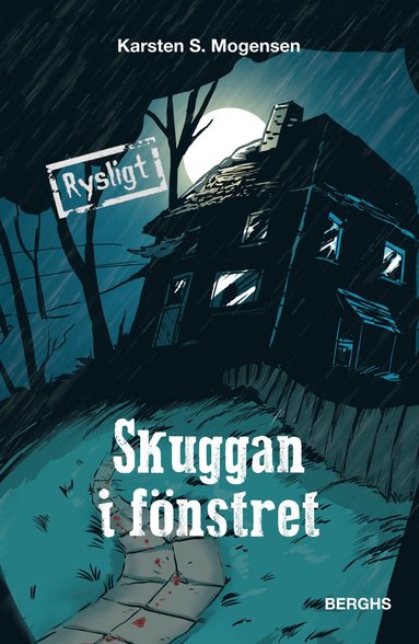 bokomslag Skuggan i fönstret