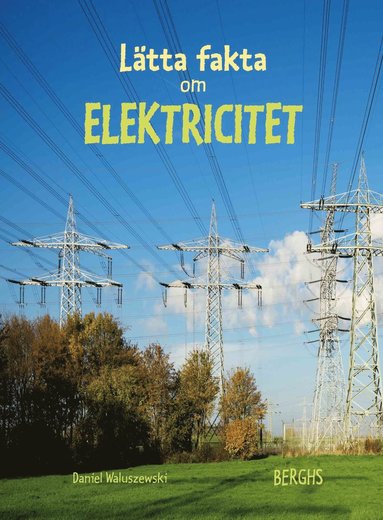 bokomslag Lätta fakta om elektricitet