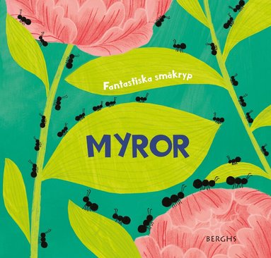 Susie Williams - Myror, Inbunden