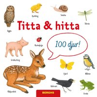bokomslag Titta & hitta. 100  djur