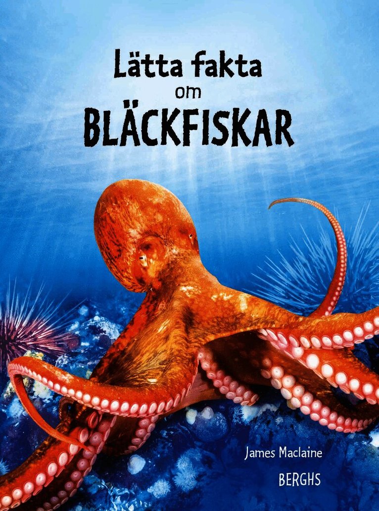 Lätta fakta om bläckfiskar