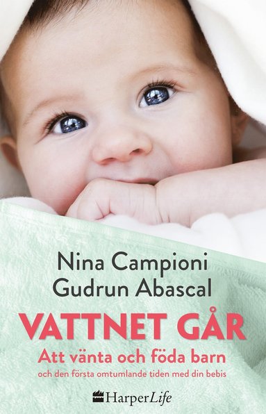 bokomslag Vattnet går : att vänta och föda barn och den första omtumlande tiden med din bebis
