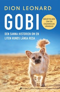 bokomslag Gobi : Den sanna historien om en liten hunds långa resa
