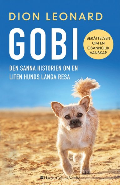 bokomslag Gobi : Den sanna historien om en liten hunds långa resa