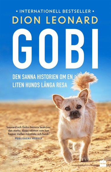 bokomslag Gobi : den sanna historien om en liten hunds långa resa