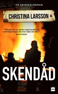 bokomslag Skendåd
