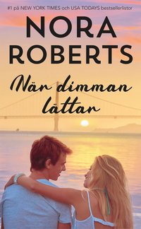 bokomslag När dimman lättar