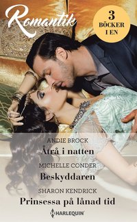 bokomslag Åtrå i natten ; Beskyddaren ; Prinsessa på lånad tid