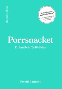 bokomslag Porrsnacket : en handbok för föräldrar
