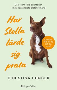 bokomslag Hur Stella lärde sig prata