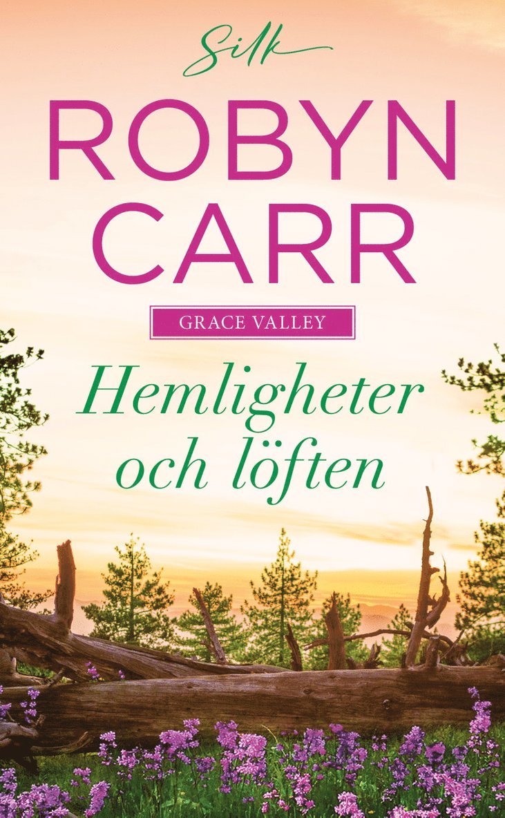 Robyn Carr - Hemligheter och löften, Häftad