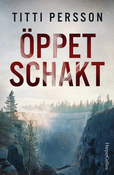 bokomslag Öppet schakt