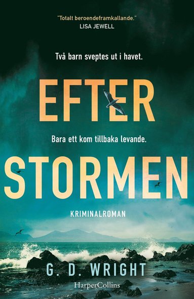 bokomslag Efter stormen