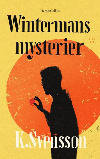 bokomslag Wintermans mysterier