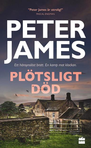 bokomslag Plötsligt död
