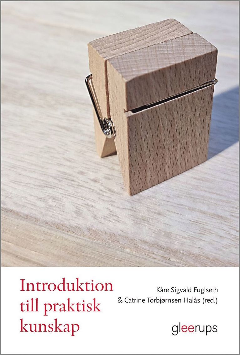 Praktisk kunskap : en introduktion, Häftad