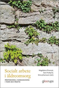 bokomslag Socialt arbete i äldreomsorg : professionell handläggning i teori och praktik