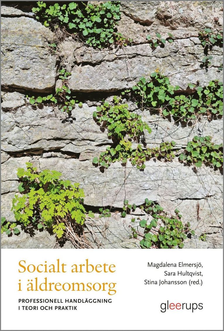 Socialt arbete i äldreomsorg : professionell handläggning i teori och praktik 1