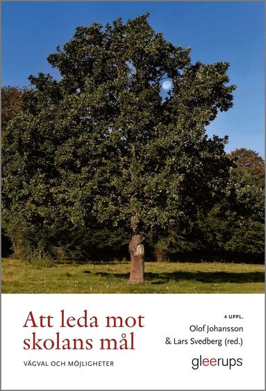 Att leda mot skolans mål  : vägval och möjligheter, Häftad