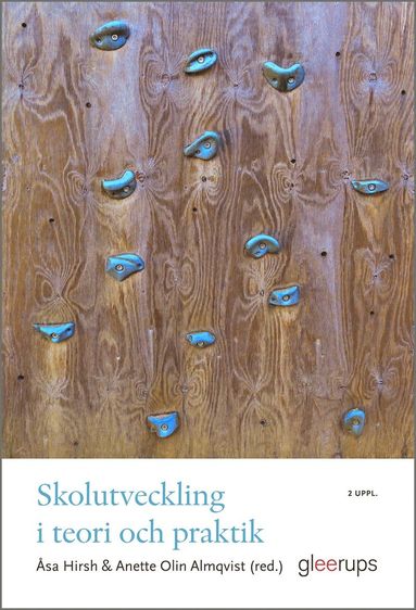bokomslag Skolutveckling i teori och praktik