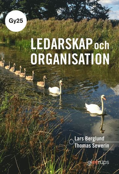 bokomslag Ledarskap och organisation, bok, Gy25