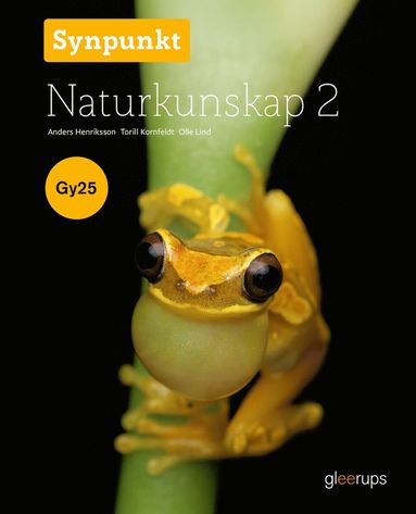 bokomslag Synpunkt Naturkunskap 2, bok, Gy25