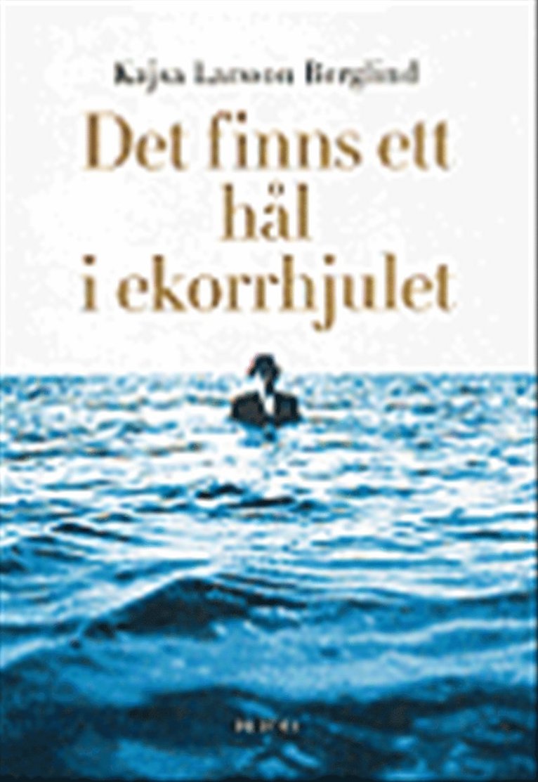 Kajsa Larsson Berglind - Det finns ett hål i ekorrhjulet : På jakt efter balans i livet, Häftad