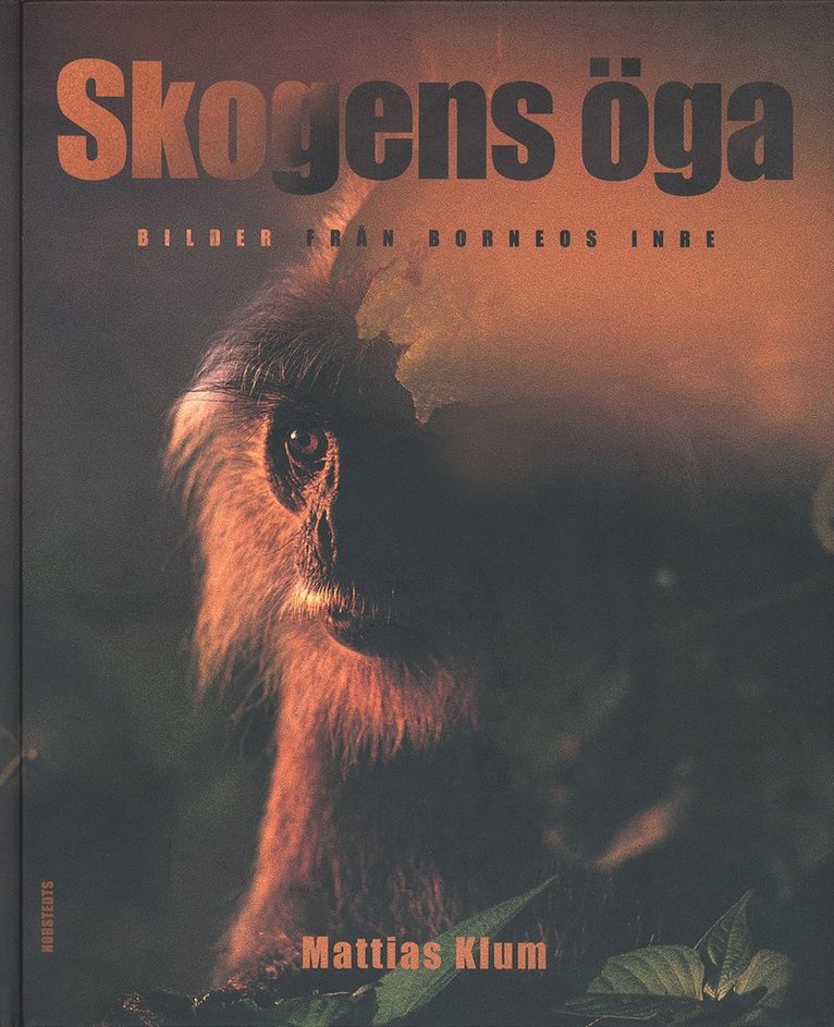 Skogens öga : bilder från Borneos inre