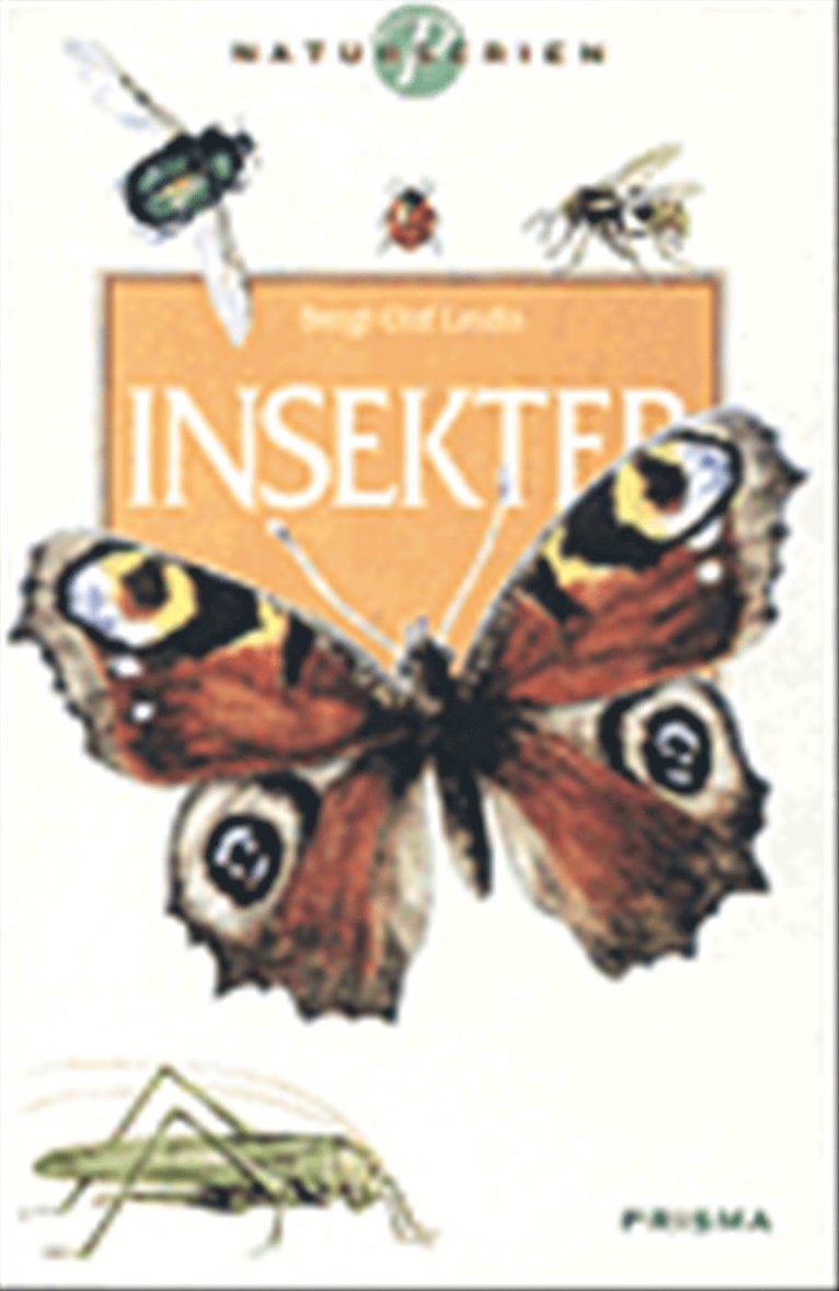 Insekter
