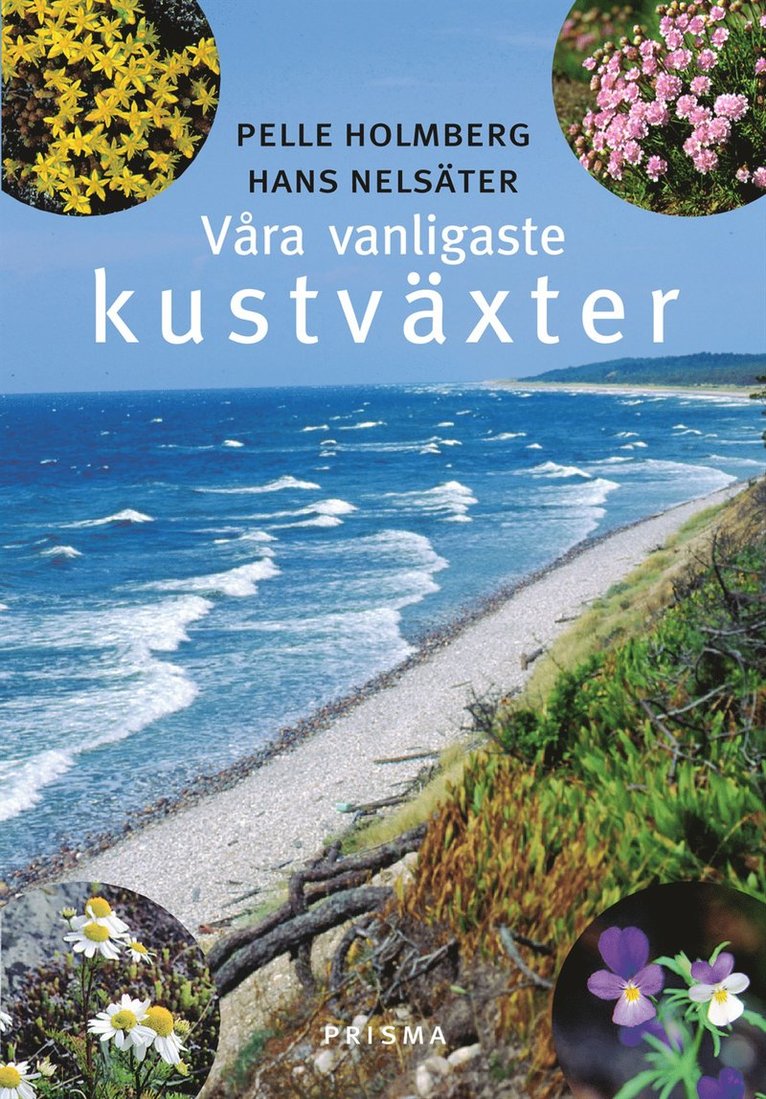 Pelle Holmberg, Hans Nelsäter - Våra vanligaste kustväxter, Kartonnage