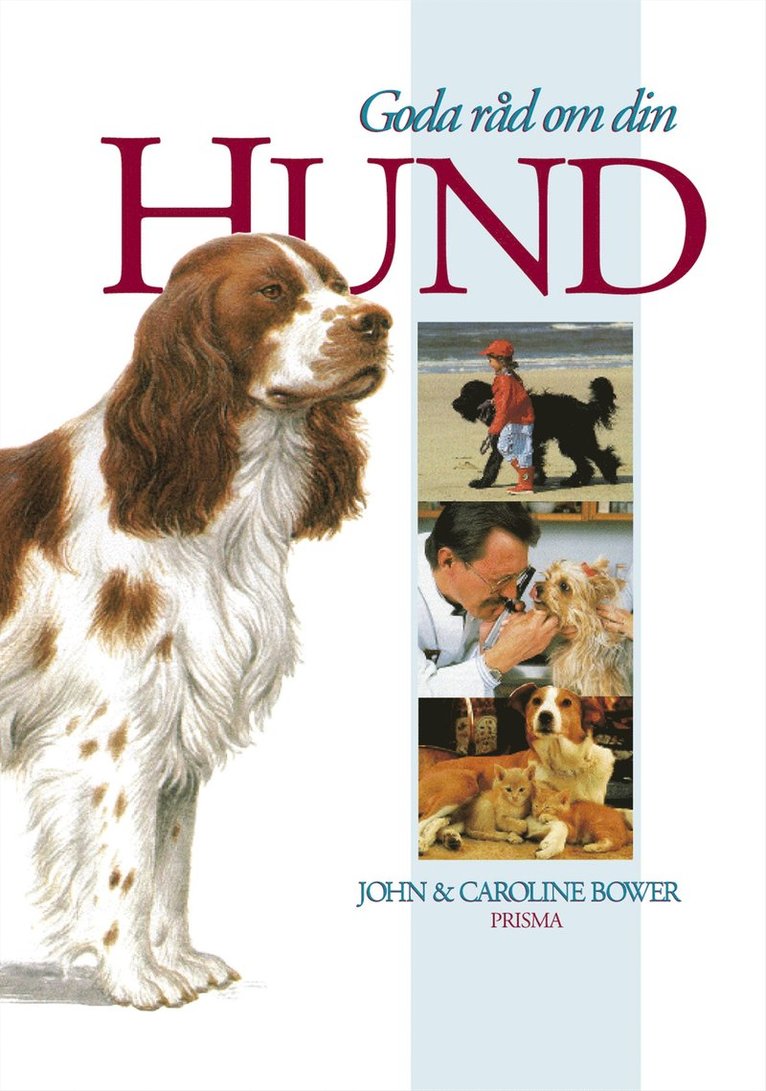 Goda råd om din hund