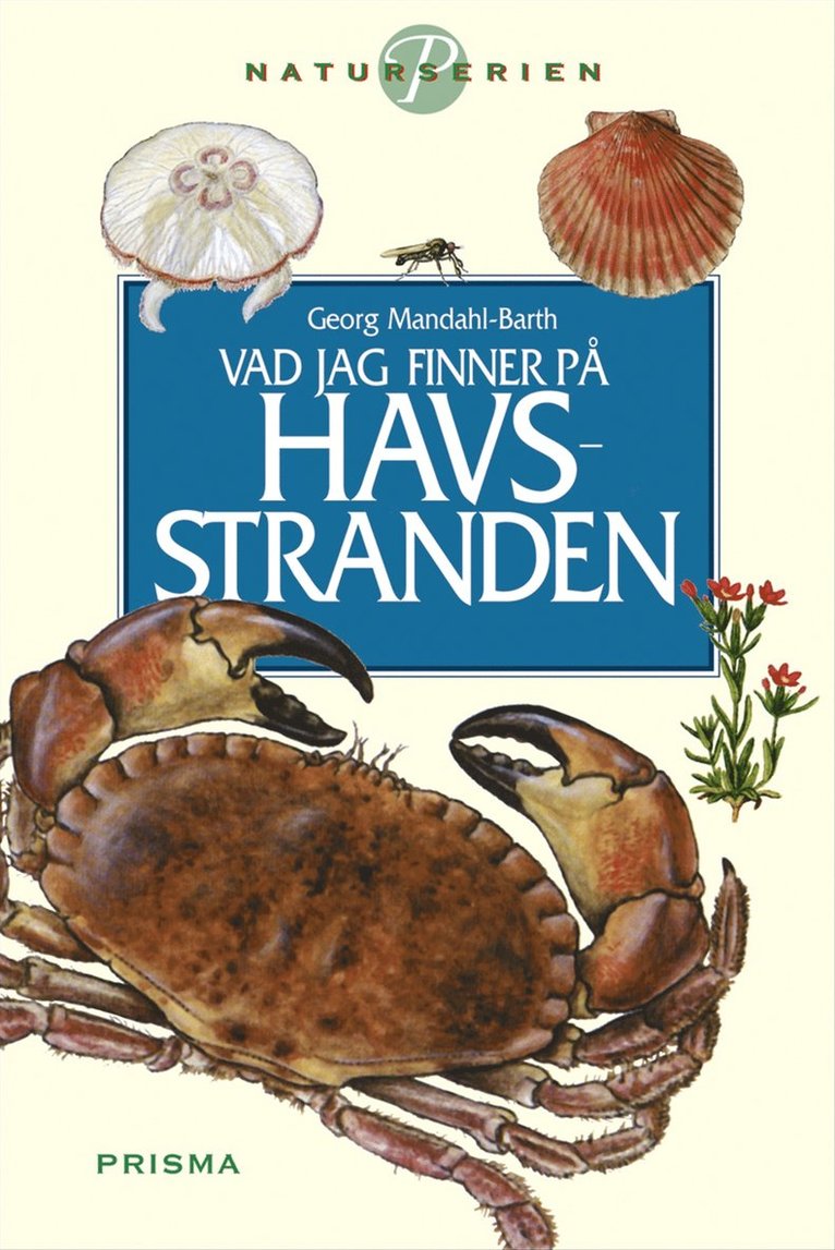 Georg Mandahl-Barth - Vad jag finner på havsstranden, Häftad