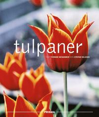 bokomslag Tulpaner