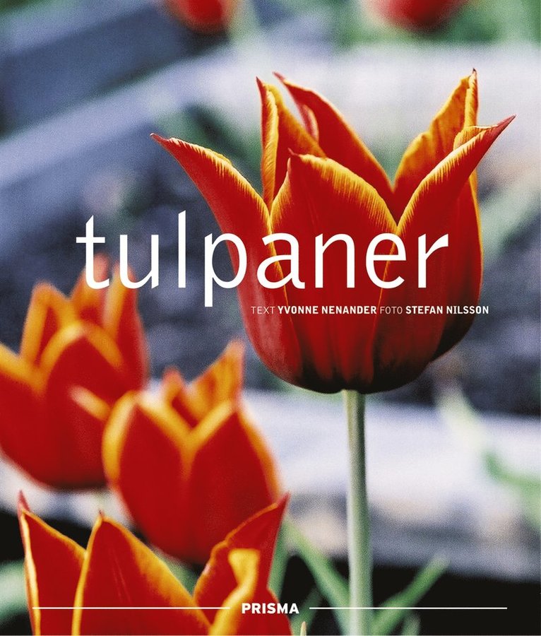 Yvonne Nenander, Stefan Nilsson - Tulpaner, Kartonnage