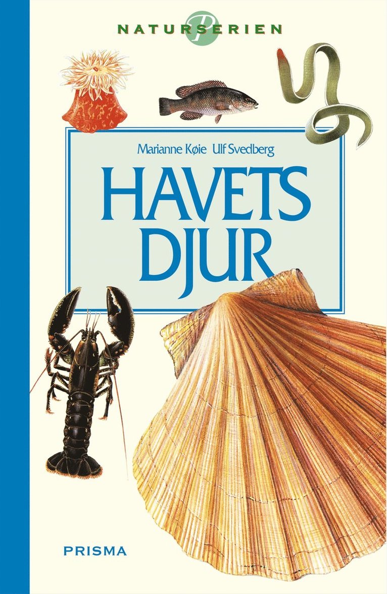 Marianne Köie, Ulf Svedberg - Havets djur, Kartonnage