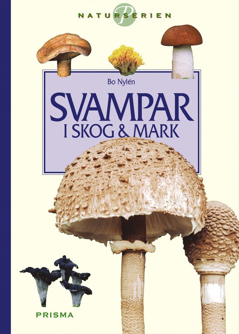Svampar i skog och mark