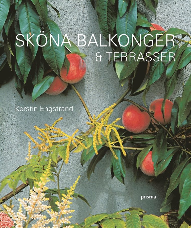 Sköna balkonger & terrasser