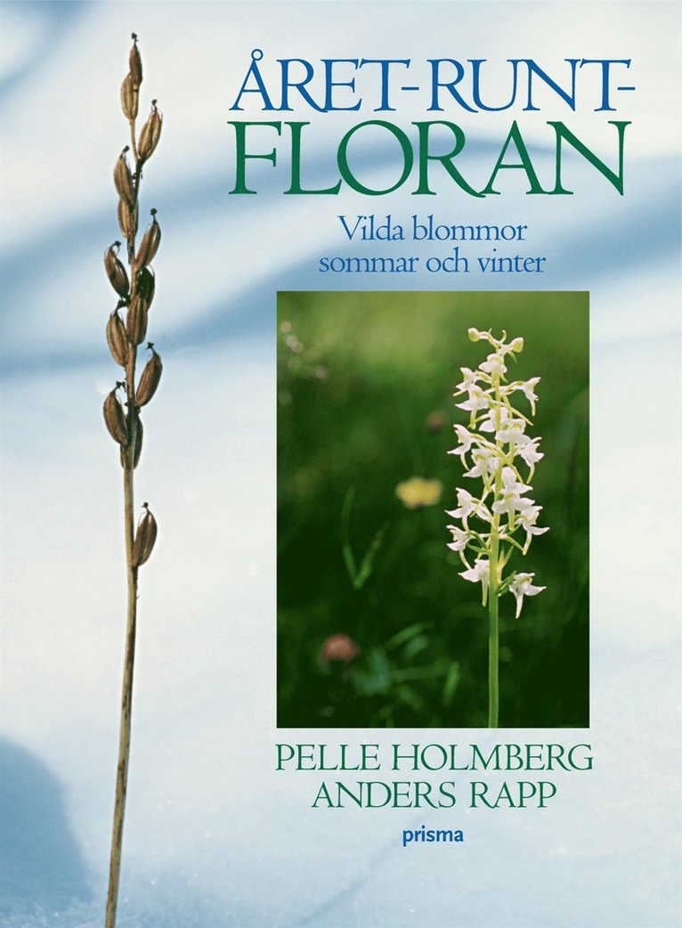 Pelle Holmberg - Året-runt-floran : Vilda blommor sommar och vinter, Inbunden