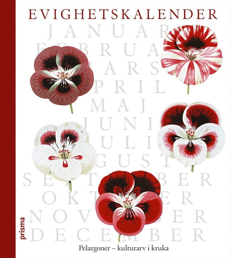 Evighetskalender : Pelargoner - kulturarv i kruka