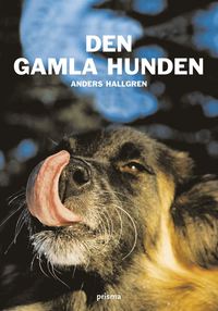 bokomslag Den gamla hunden : om den äldre hundens fysiska och psykiska välbefinnande