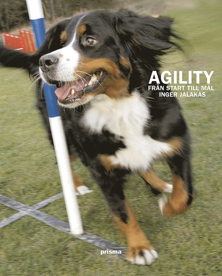 Inger Jalakas - Agility : från start till mål, Kartonnage