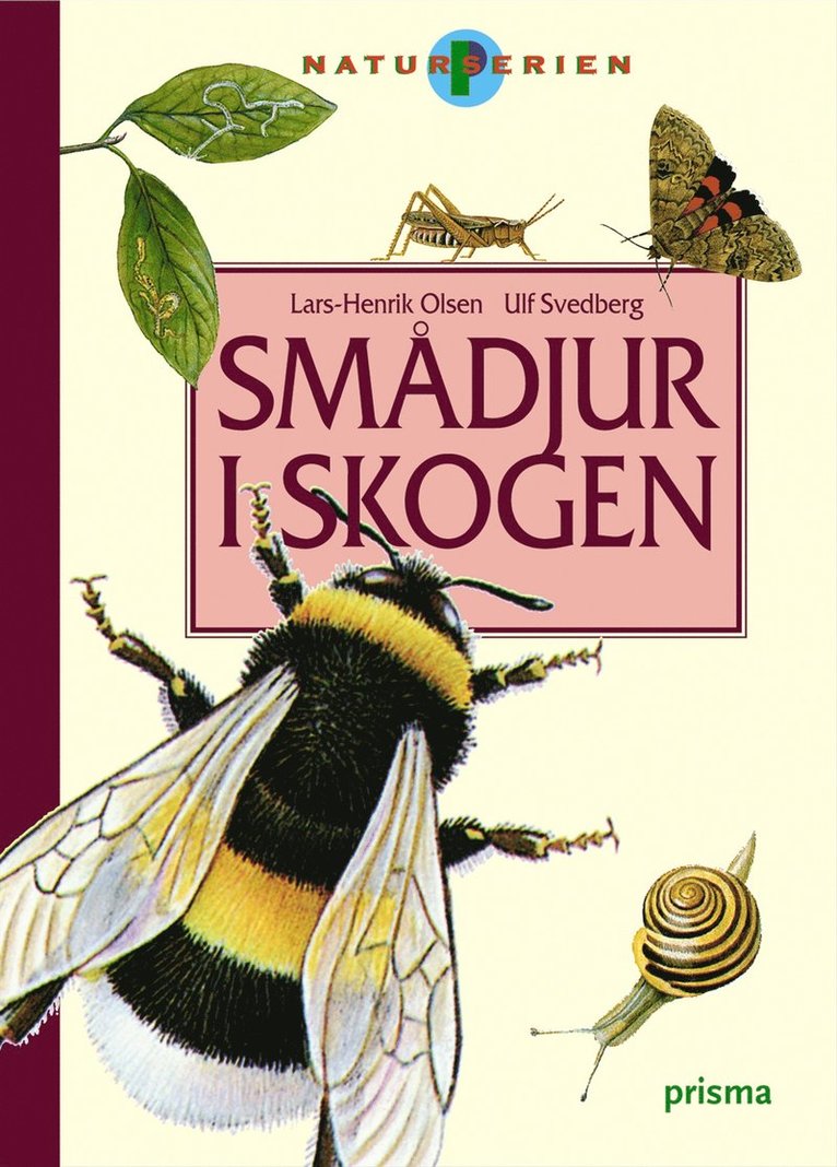 Smådjur i skogen