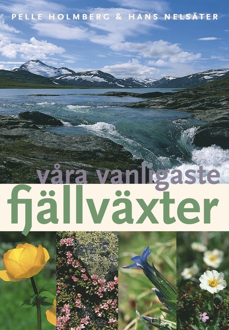 Våra vanligaste fjällväxter