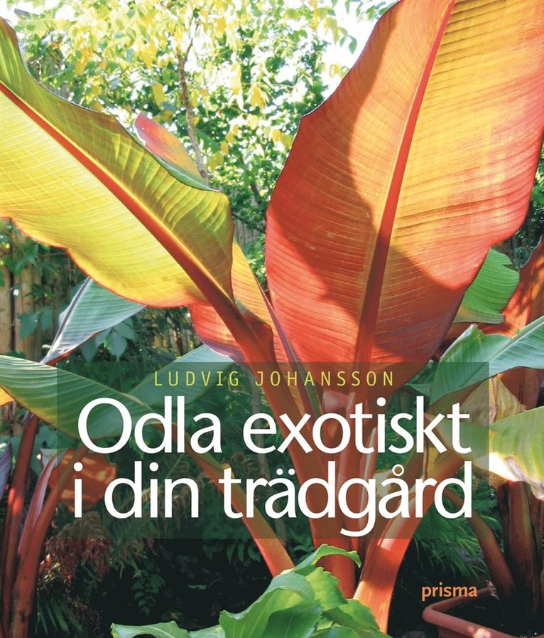 Ludvig Johansson - Odla exotiskt i din trädgård, Inbunden