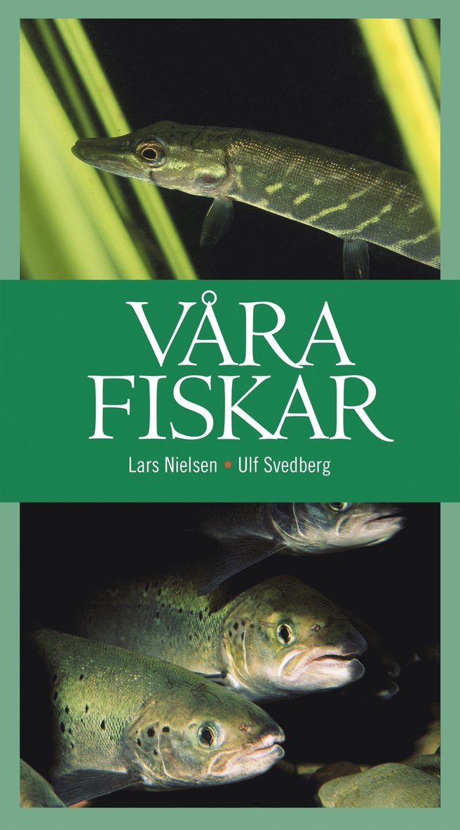 Våra fiskar