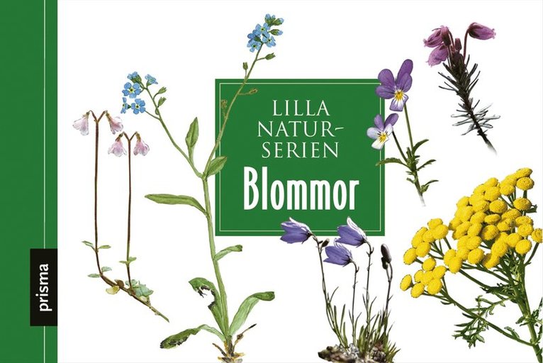 Ulf Svedberg, Tore Fonstad - Blommor, Kartonnage