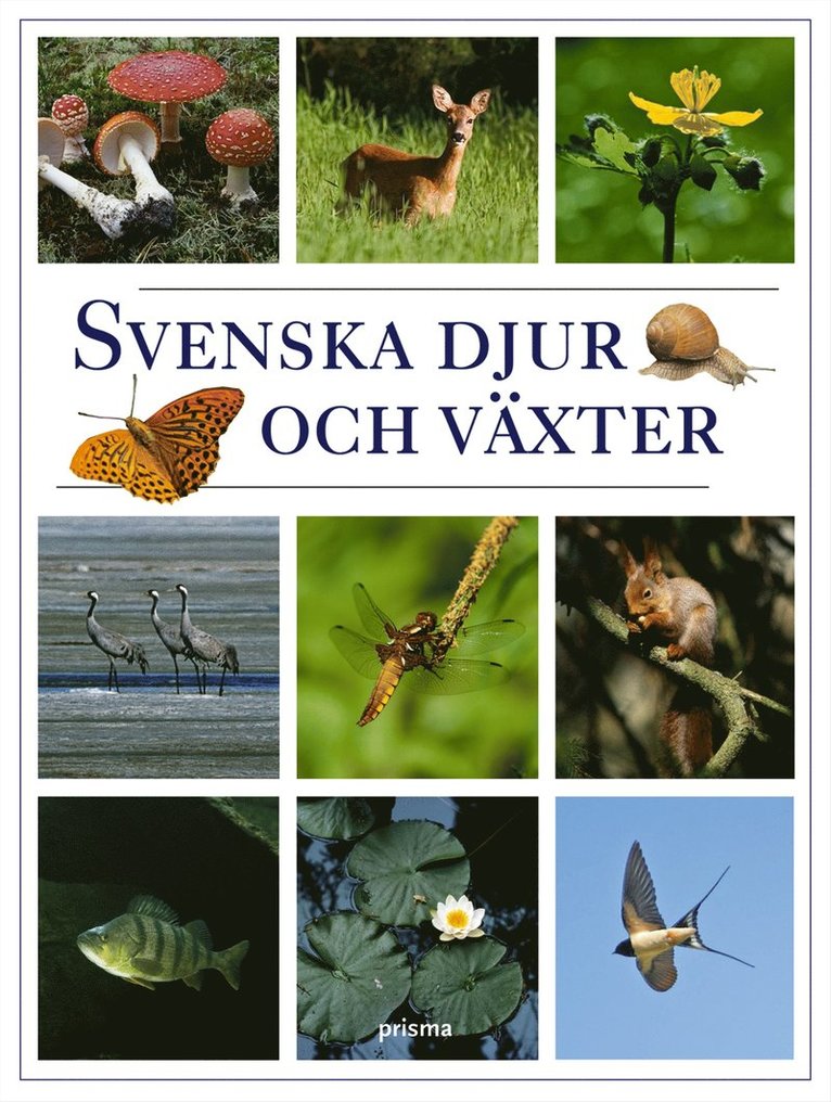 Ulf Svedberg, Mogens Andersen, Jon Feilberg - Svenska djur och växter, Inbunden