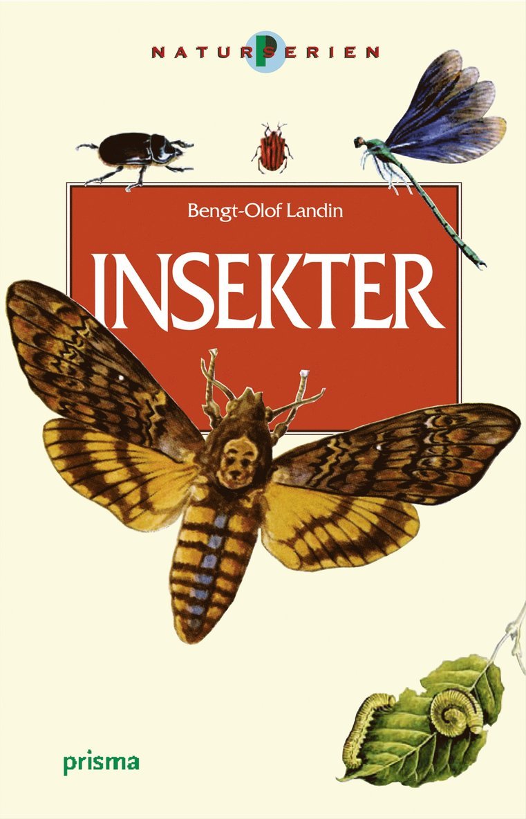 Insekter