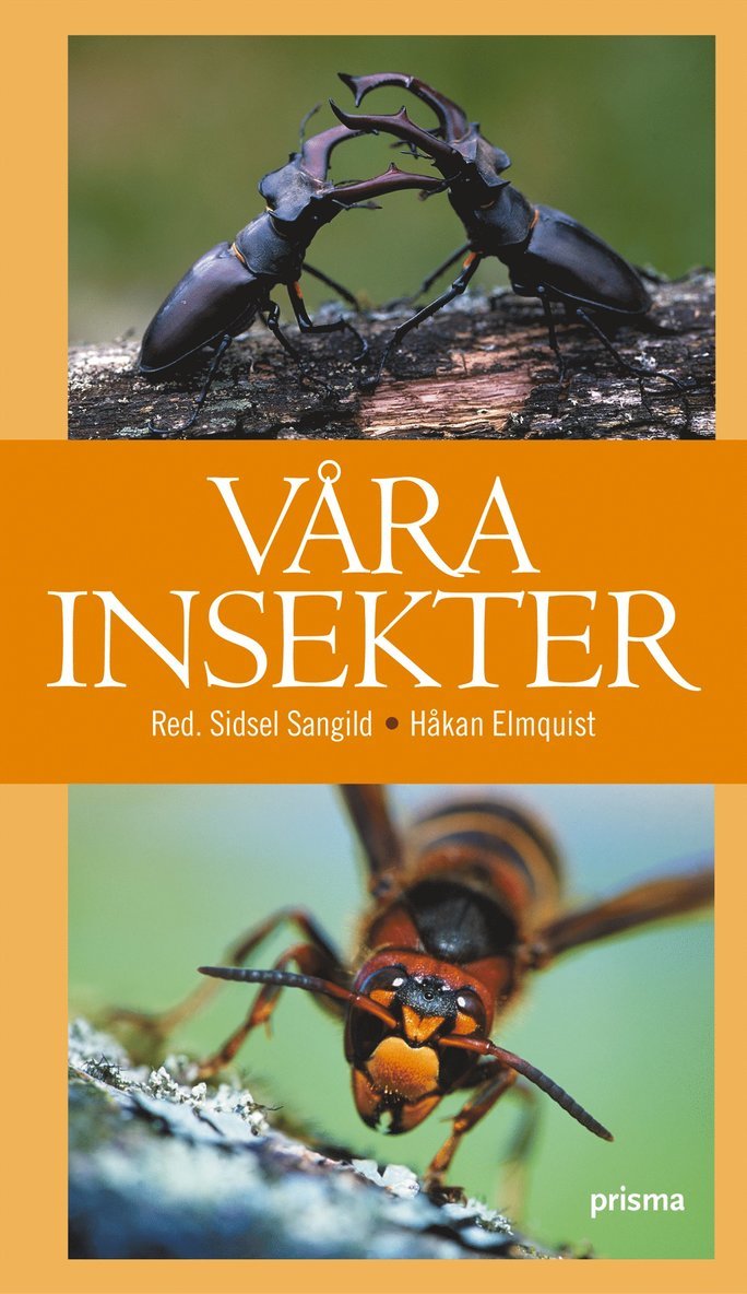 Våra insekter