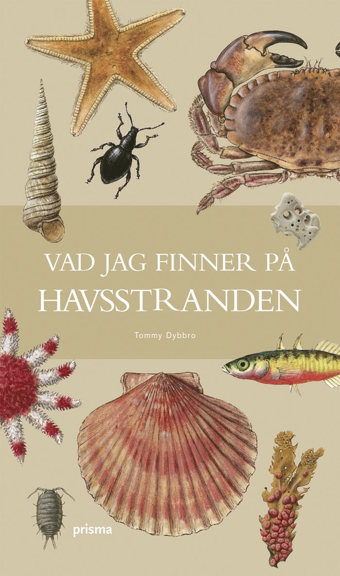 Tommy Dybbro - Vad jag finner på havsstranden, Inbunden